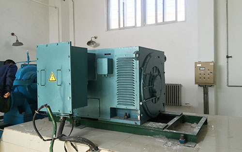 谯城某水电站工程主水泵使用我公司高压电机